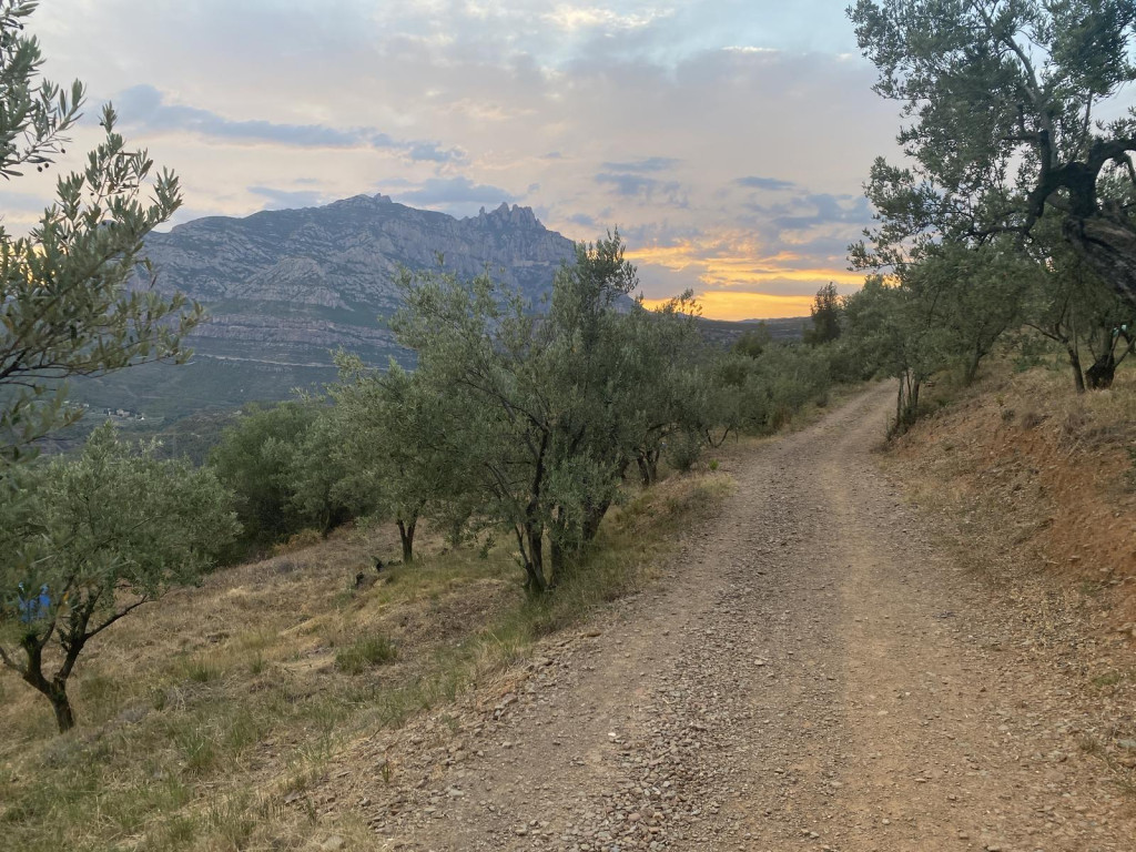 Barraca de Pedra Seca