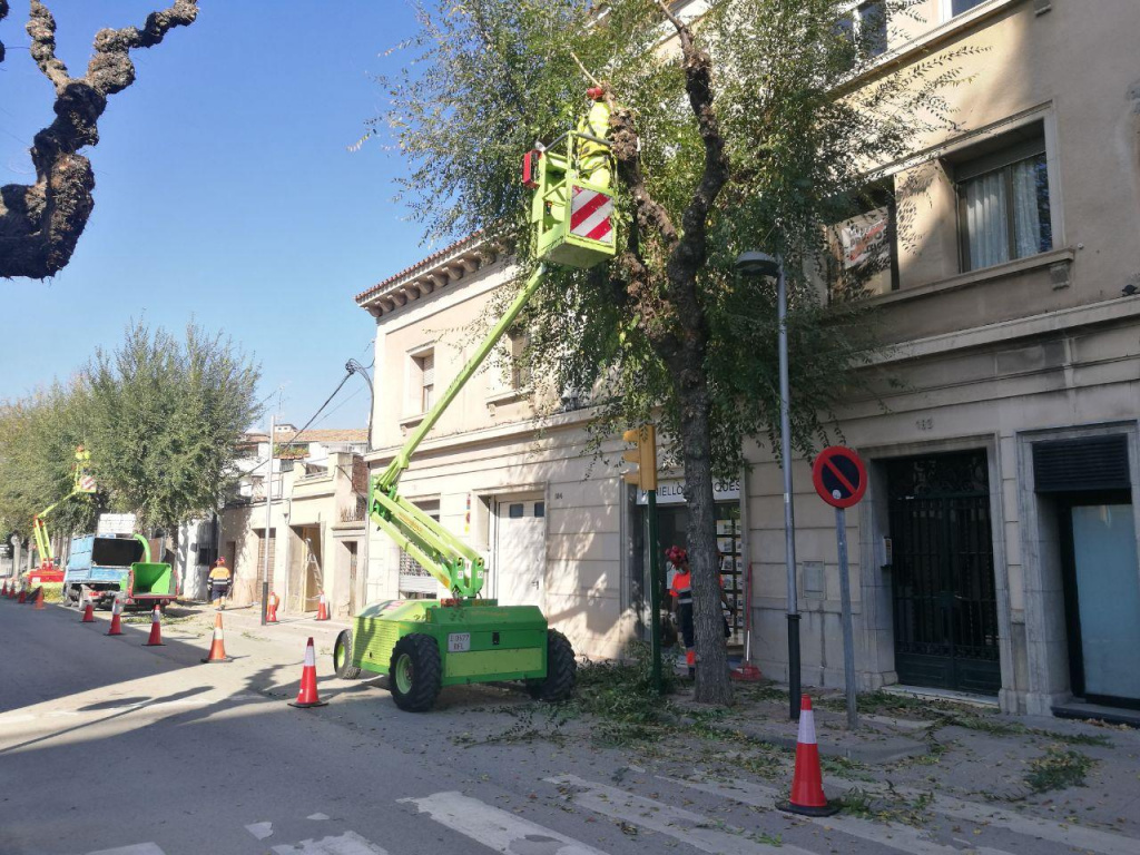 Comença la campanya de la poda i la instal·lació de l'enllumenat de Nadal