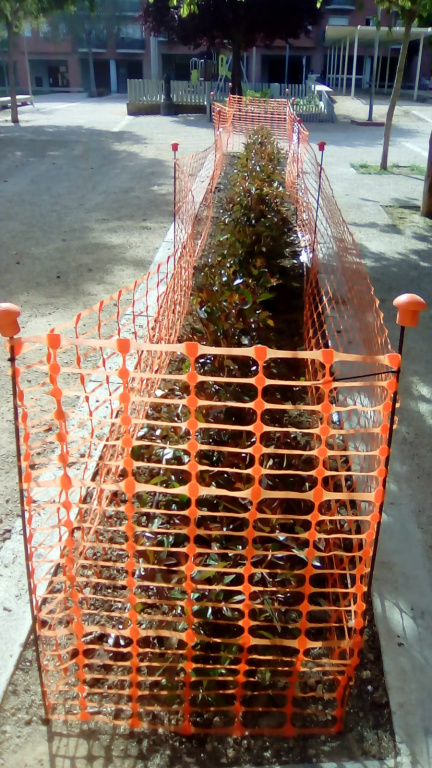 El departament de Gestió de l’Espai Públic i Equipaments d’Olesa intensifica el manteniment de jardins i la desinfecció dels parcs infantils