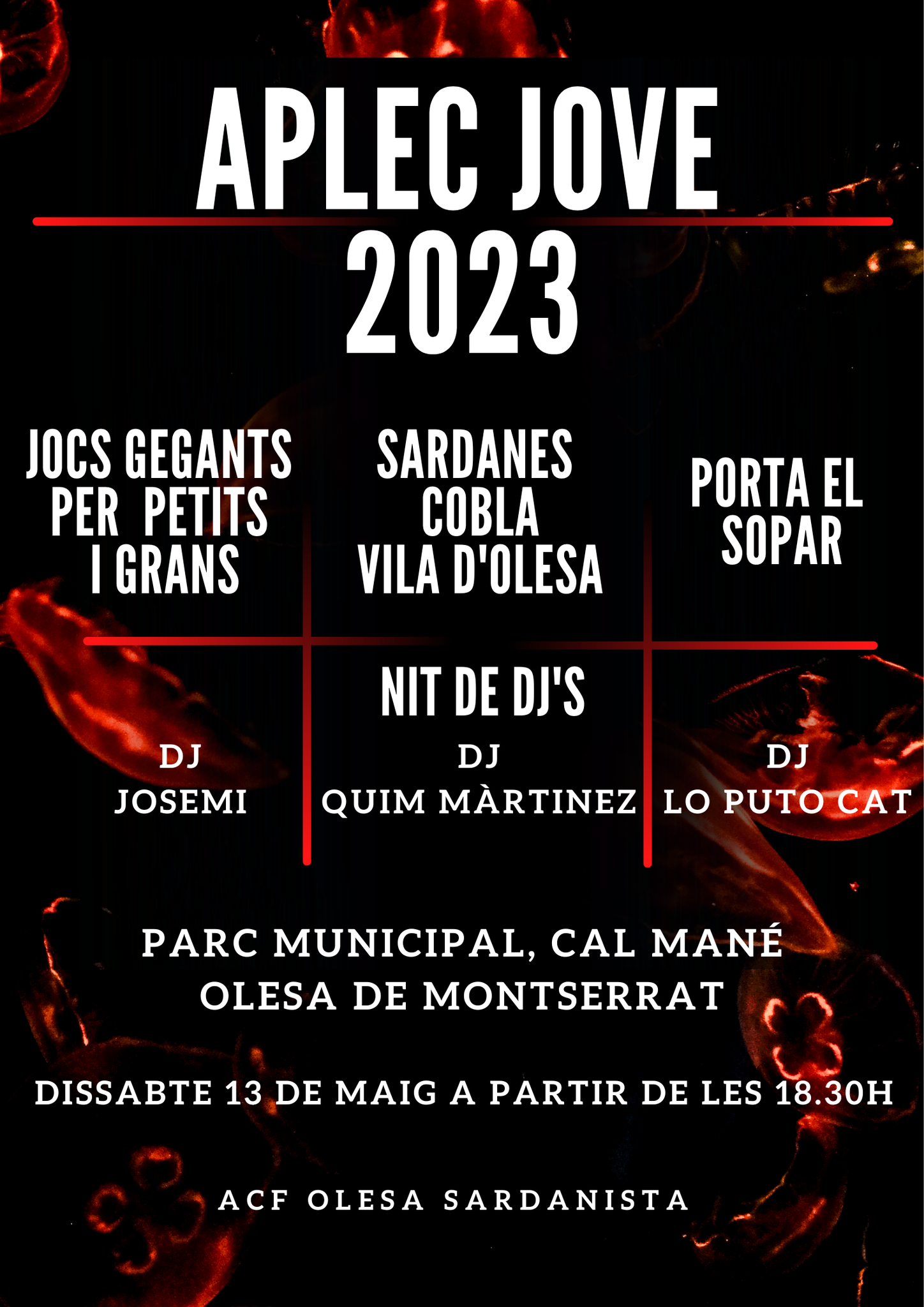 Aplec Jove sardanes 2023