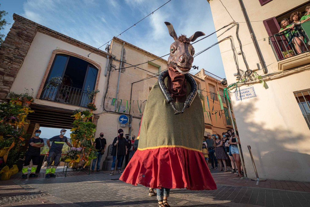 Mulassa davant de l'ofrena floral de Santa Oliva