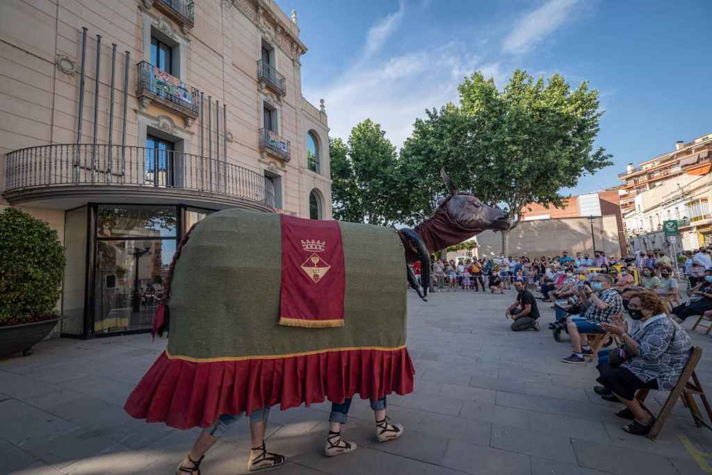 Mulassa davant de l'ajuntament